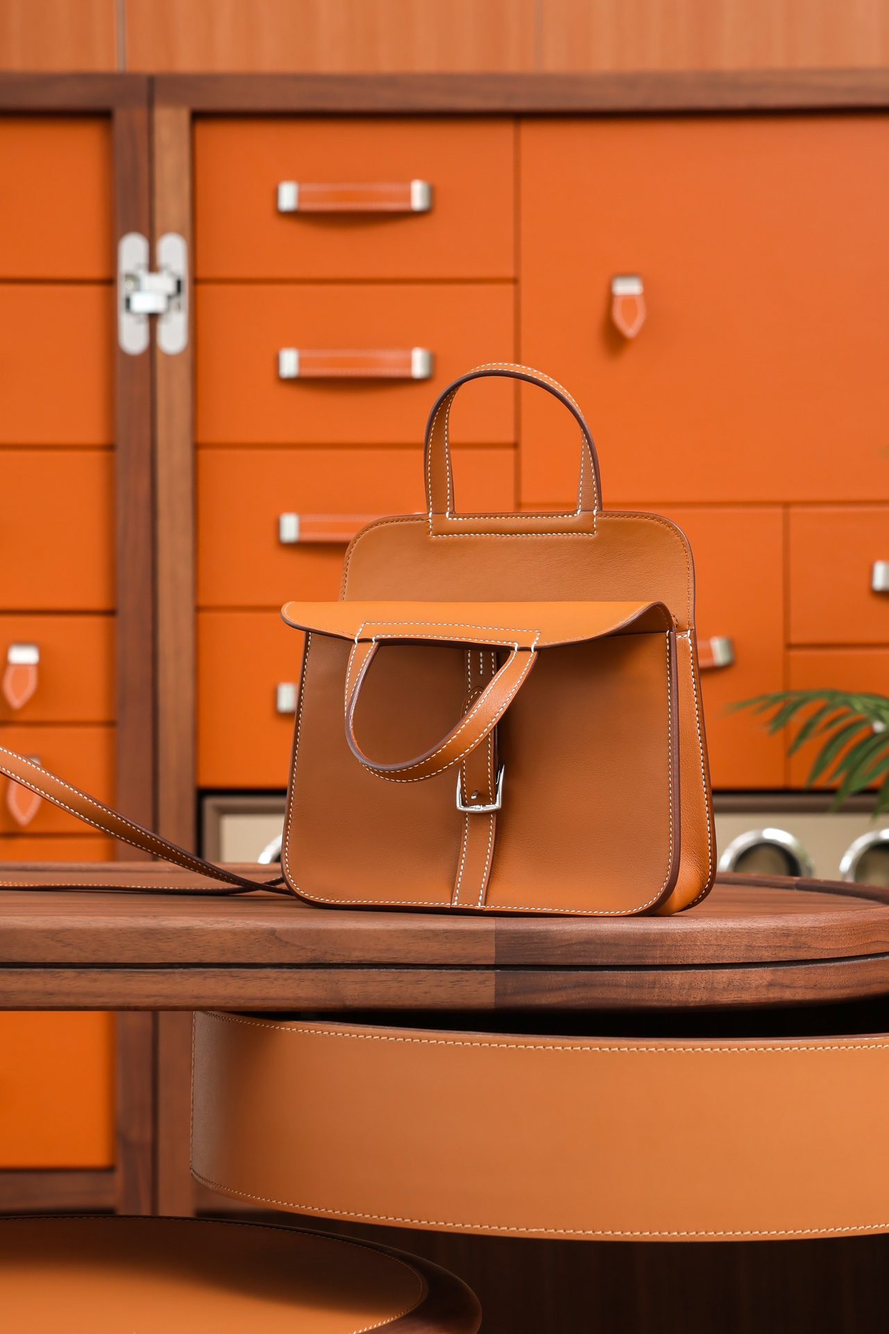 660dbc1c8566fad31d309448d49c0315_1723185189_1331.jpg 660dbc1c8566fad31d309448d49c0315_1723185189_1331.jpg