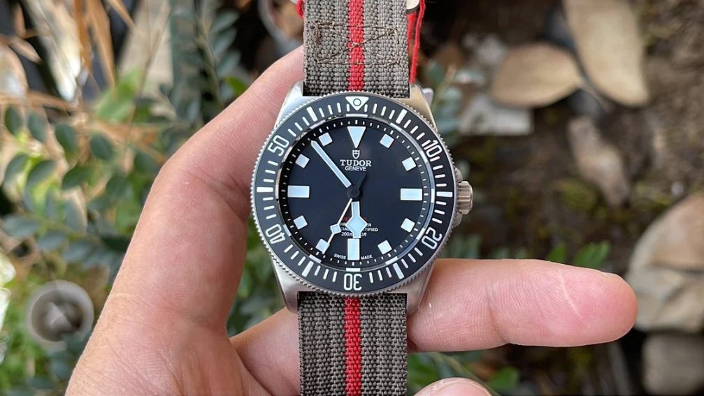 19fbb442483e79c9c5e943d58cd896a0_1730959627_6316.jpg 19fbb442483e79c9c5e943d58cd896a0_1730959627_6316.jpg