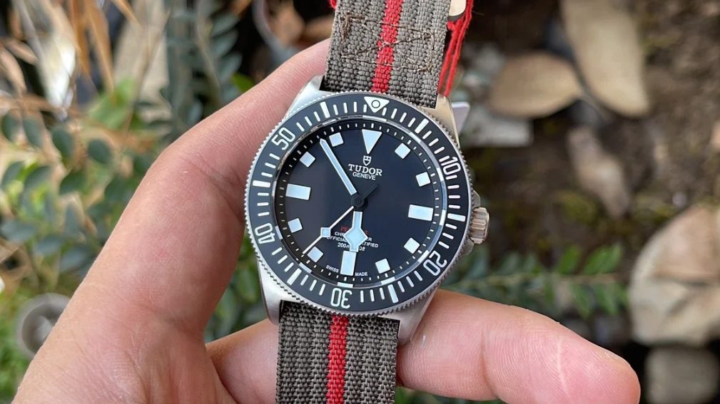 19fbb442483e79c9c5e943d58cd896a0_1730959628_5665.jpg 19fbb442483e79c9c5e943d58cd896a0_1730959628_5665.jpg