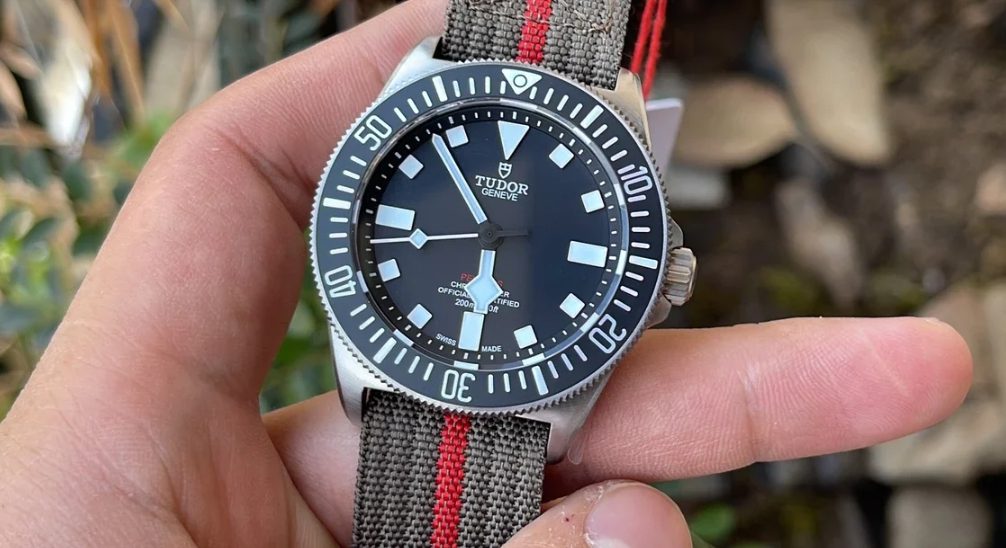 19fbb442483e79c9c5e943d58cd896a0_1730959630_1167.jpg 19fbb442483e79c9c5e943d58cd896a0_1730959630_1167.jpg