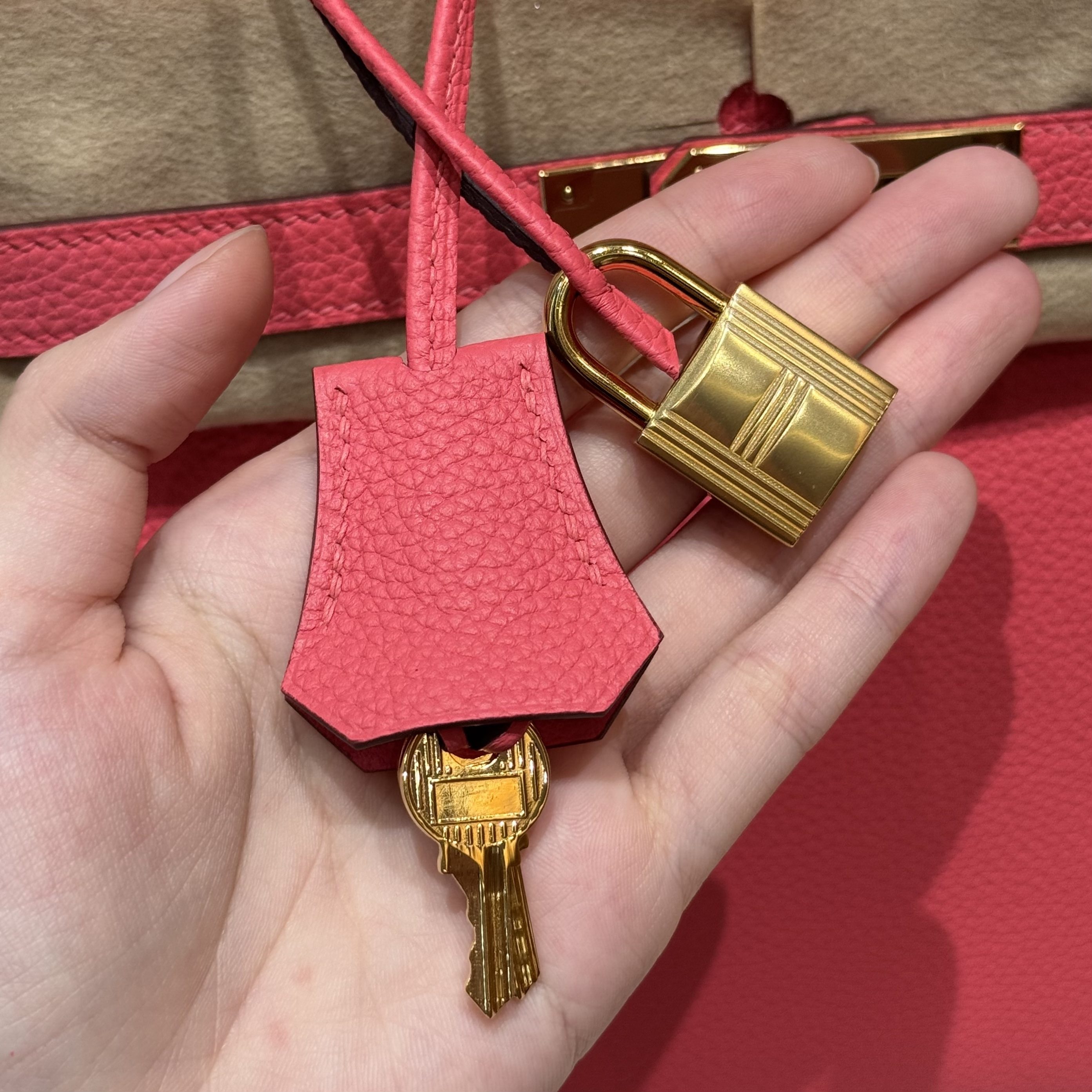 1a8702a49c466c2088f1b707a304816c_1772500199_6677.jpg 1a8702a49c466c2088f1b707a304816c_1772500199_6677.jpg