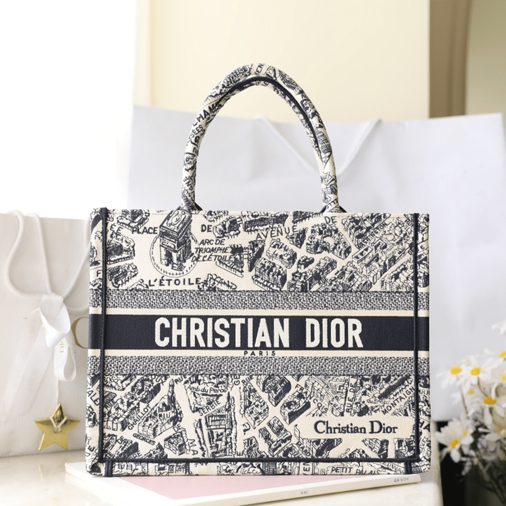 디올 Plan de Paris 자수 북 토트 미디엄 백
