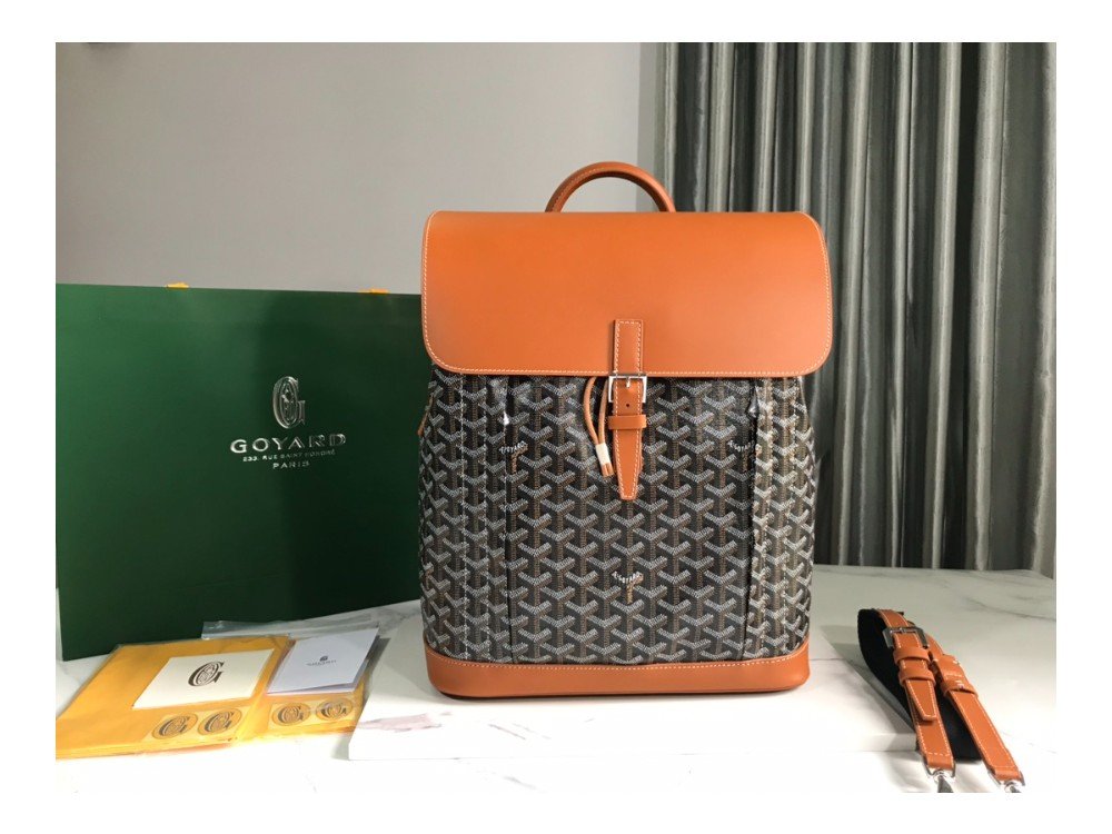 고야드 알팡 백팩