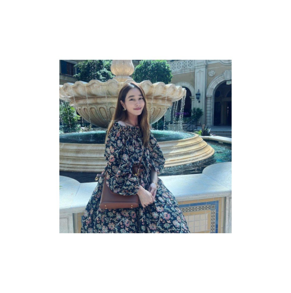 [이민정 PICK] 디올 C'EST DIOR 미디엄 백 브라운